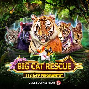 Big Cat Rescue Megaways™